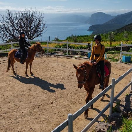 Ghivine Albergo Diffuso Доргали Екстериор снимка